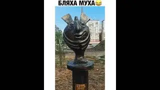 вот как выглядит БЛЯХА МУХА
