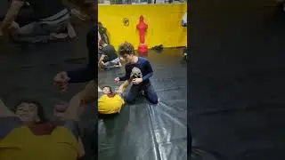 Training Jiu-Jitsu Brotherhood Tirana Albania Vibes 🇦🇱 #albania #tirana #brazilianjujitsu #bjj