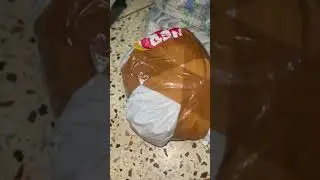 Syrian & Dwarf Hamsters For Sale Pan-India delivery available