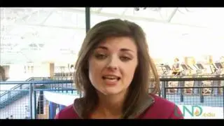 My Wellness Stories