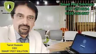 Termite Control in Karachi
