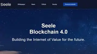 Обзор   ICO Seele № 3