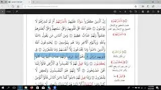 Practicing Recitation of Ibn 'Aamir