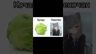 Картинки с глубоким смыслом №9 #memes #приколы #мем #recommended