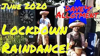 Dave's Allotment. June 2020 Plot Tour, Planting Out Swedes, Gutter Pea's & Raindance!