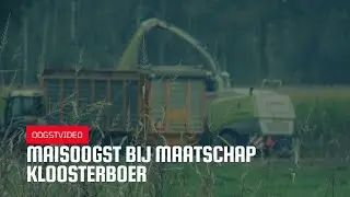 Oogstvideo: maisoogst bij Maatschap Kloosterboer