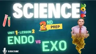 ساينس تانية اعدادى 2026 | Thermal changes accompanying chemical changes | unit 1 | lesson 2 | part 2