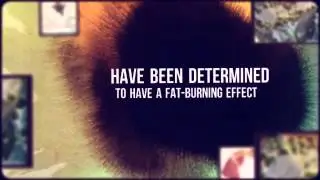 Svetol Green Coffee Bean Extract -The Remarkable Weight-Loss Solution