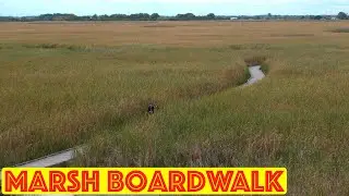 Point Pelee II - The Marsh Boardwalk
