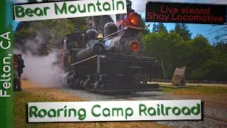 Roaring Camp Railroad