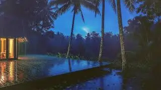 Tropical Cabin Thunder Rain for Clean Sleep Without Interruptions 🌩️