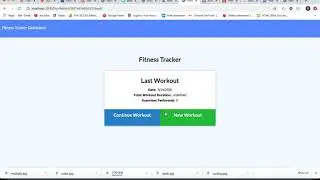 Fitness Tracker Homework