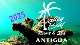 Galley Bay resort & Spa, Antigua - August/September 2025