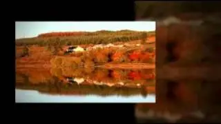 Reflections by Kate Slevin  Biddys OBarnes