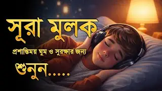 ঘুমানোর আগে অন্তর তৃপ্ত করা সূরা মুলক তিলাওয়াত | Heart Touching Recitation Surah Mulk SHAMSUL HAQUE