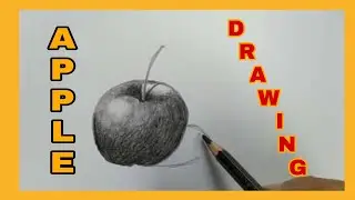 How to draw APPLE with Graphite pencils||Bert DC