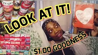 I KNOW! LOOK AT THIS $1.00 HAUL OF GOODNESS + ORGANIZATION...