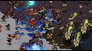 Day 45 FUSS! Mini! Rush! Ample! Queen! Jaedong! FFA! Steal Bacon! BROOD WAR! - 2024