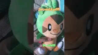 Chespin!!! 🌲💚 #pokemon #chespin #chespinpokemon #pokemonxandy #pokemonxy