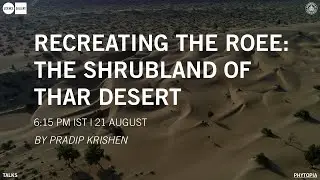 Recreating the Roee: The Shrubland of Thar Desert | Launching PHYTOPIA