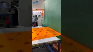 Roll to Roll Paperless Saree Machine(Automatic Skirt Pallu)