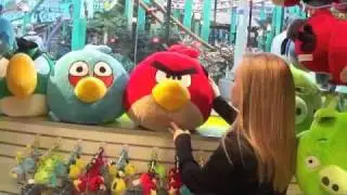 When Angry Birds Attack