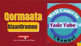 Deebii Qormaata Afaan Oromoo!