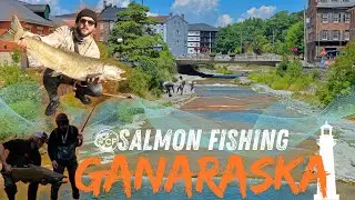 Salmon Fishing The Ganaraska River (Near Toronto)