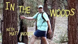 In The Woods with Matt Woods Ep.2