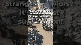 7 Mind-Blowing Facts About Earthquakes🌍 (You Won't Believe #5!) #californiaearthquake#facts#amazing