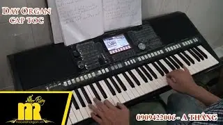 Học Đ&agrave;n Organ Cấp Tốc TPHCM - HỎI VỢ NGOẠI TH&Agrave;NH - Học Organ Online-Cơ Bản-N&acirc;ng Cao-★0909422006★