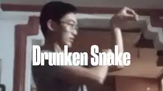 Kung-Fu Montage! The Art of the Animals Warning: I am not a real Martial Artist, only mimicking move