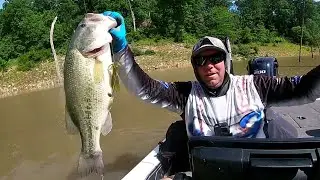 Mark Twain Lake is full of 4 plus Pound BASS!!! Fishing for Freedom Practice