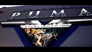 Palomino Puma Campers at Big Daddy RVs