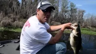 Florida Double Digit Bass Episode #2 Sight Fishing a 10lbs+
