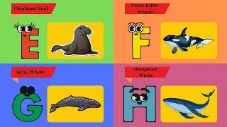 Shark, Whale & Dolphin ABC Song | Ocean Animals Alphabet for Kids | #abcd #kids #learning