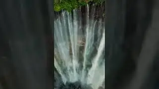 #waterfall #height #nature #shorts #birds #shortvideo #motivation