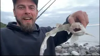 Морская рыбалка в Великобритании