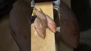 Snapper without scales is like a couch cushion! #snapper #snapperfishing #couch