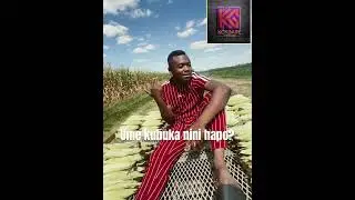 Ume kubuka nini hapo#whowillbemylifepartnerta#kodaregurp#nyarugusu #america