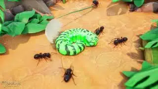 Ants&lsquo; Evolution【THE ANTS: UNDERGROUND KINGDOM】