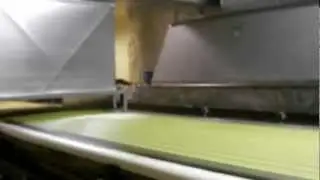 Palmetto Adhesives Company