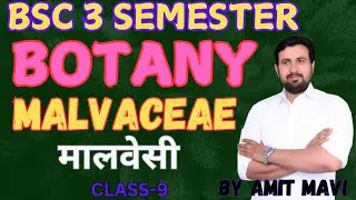 Malvaceae / मालवेसी / BOTANY / CLASS-9 / BSC 3 SEMESTER / BY AMIT MAVI