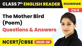 The Mother Bird - Questions & Answers | Class 7 English Chapter 6 | CBSE 2025-26