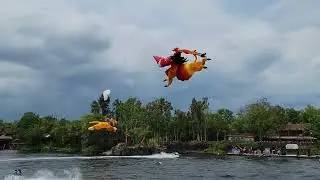 Disney's Animal Kingdom Kite Tails The  Lion King Walt Disney World 50 Anniversary #waltdisneyworld