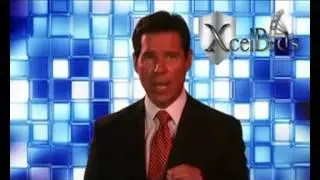 Bidxcel  Скандинавские аукционы