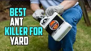 Best Ant Killer for Yard [Top 5 Reviews] - Liquid Ant Killer for Yard [2023]