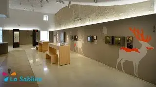 A la découverte du Musée de Préhistoire de Lussac-les-Châteaux !