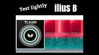 Butterfly Ilius B Test Video Short Version #shorts