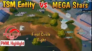 MEGA Star vs TSM Entity 4v4 Final Circle Fight |PMWL W1D4M4 Highlight |